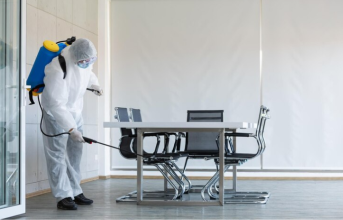 Protect Your Business Place from Pests