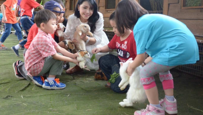 Family Fun at Farm in the City Tickets