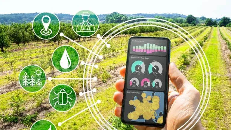 Early Warning Computer Vision Systems to Halt Crop Losses